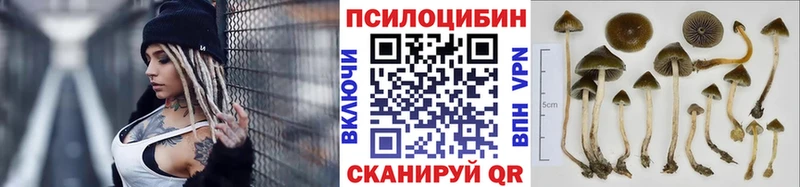 Галлюциногенные грибы MAGIC MUSHROOMS  Купить  Сосновка 